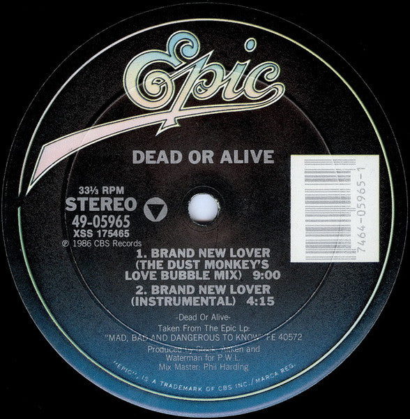 Dead Or Alive – Brand New Lover