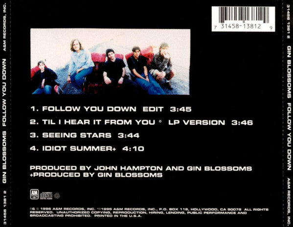 Gin Blossoms – Follow You Down