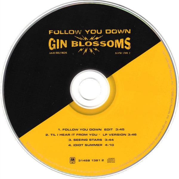 Gin Blossoms – Follow You Down