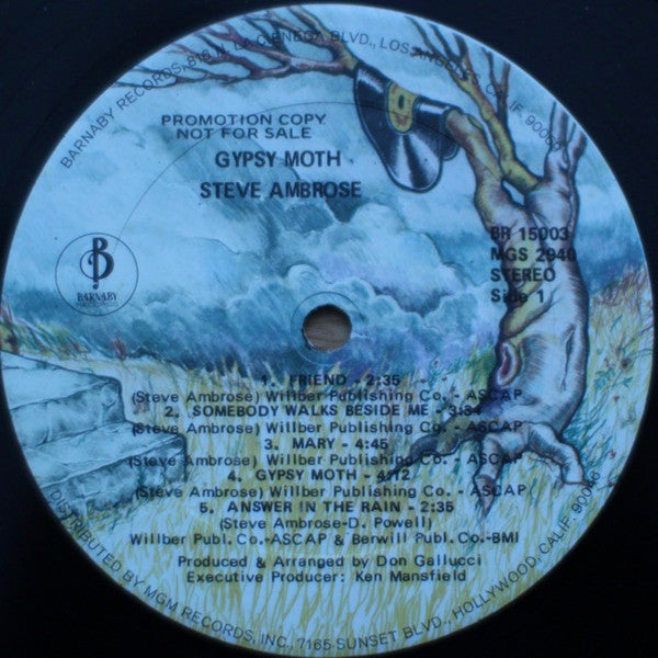 Stephen Ambrose – Gypsy Moth
