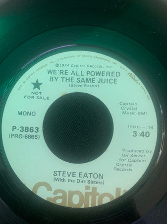 Steve Eaton With The The Dirt Sisters – We're All Powered By The Same Juice