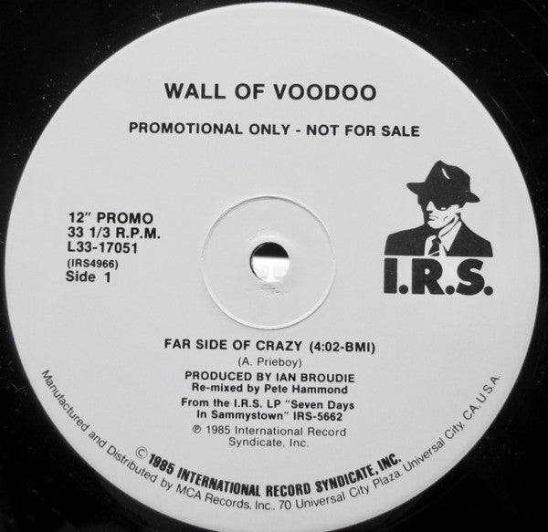 Wall Of Voodoo – Far Side Of Crazy