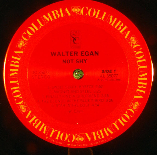 Walter Egan – Not Shy