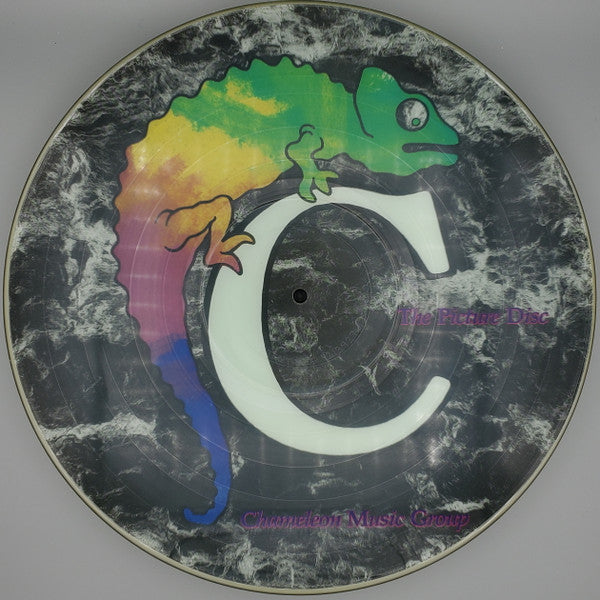 Various ‎– The Picture Disc