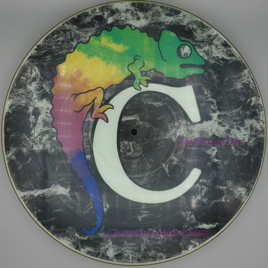 Various ‎– The Picture Disc