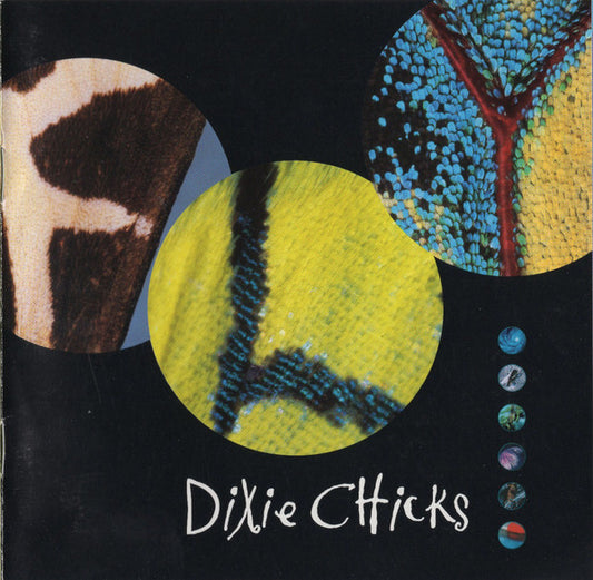 Dixie Chicks ‎– Fly