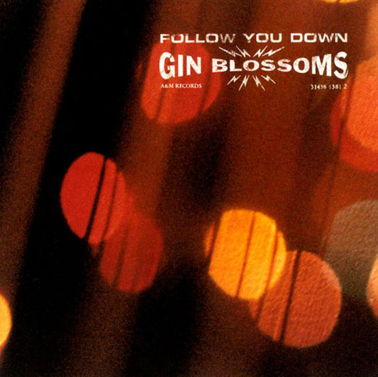 Gin Blossoms ‎– Follow You Down