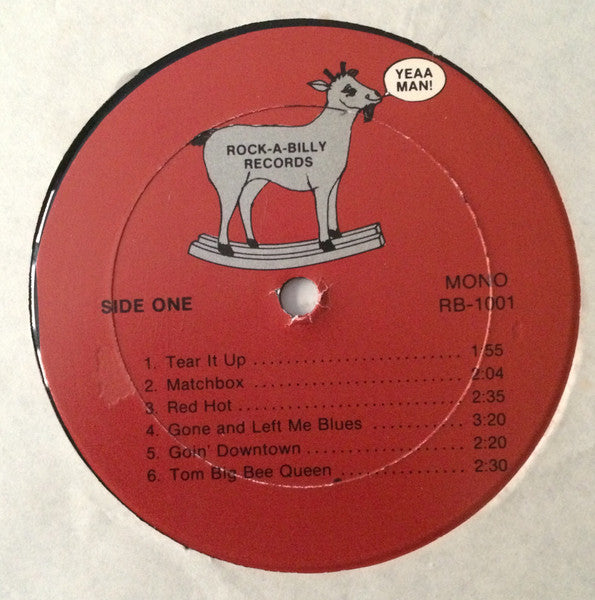 Various, Johnny Burnette's Rock And Roll Trio ‎– A Tribute To Johnny And Dorsey Burnette - Johnny Burnette's Rock And Roll Trio And Their Rockin' Friends From Memphis