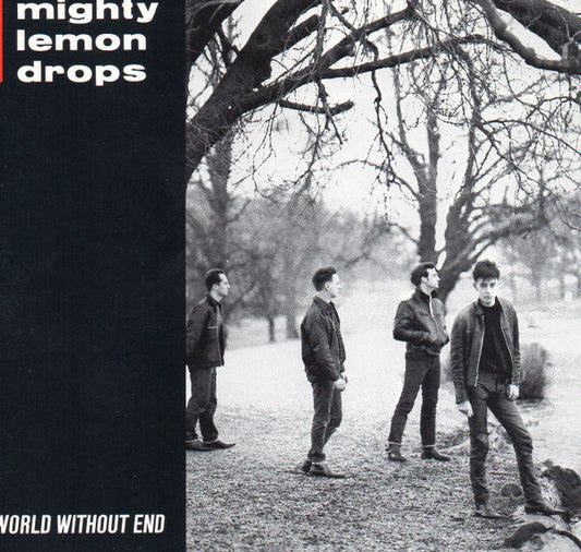 The Mighty Lemon Drops ‎– World Without End