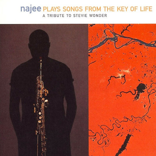 Najee ‎– Plays The Songs From The Key Of Life (A Tribute To Stevie Wonder)