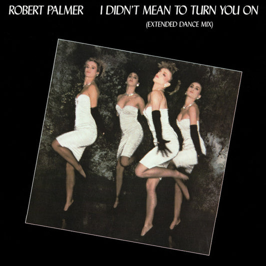 Robert Palmer ‎– I Didn't Mean To Turn You On (Extended Dance Mix)