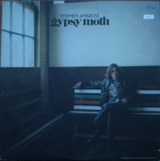 Stephen Ambrose ‎– Gypsy Moth