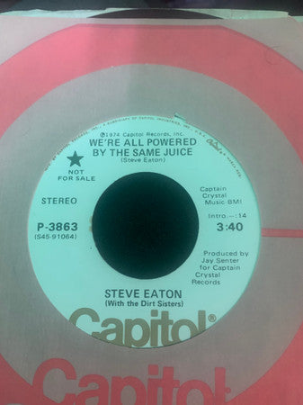 Steve Eaton With The The Dirt Sisters ‎– We're All Powered By The Same Juice
