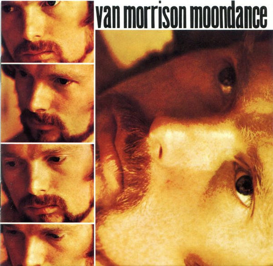 Van Morrison ‎– Moondance