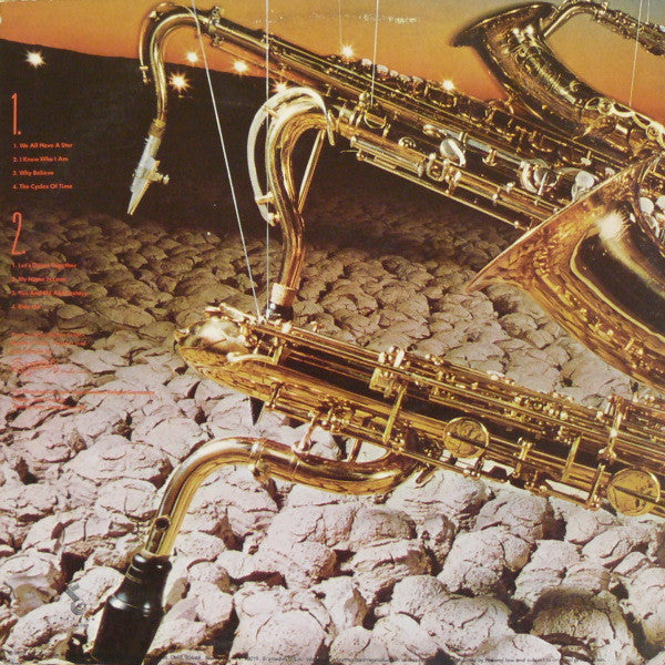 Wilton Felder ‎– We All Have A Star